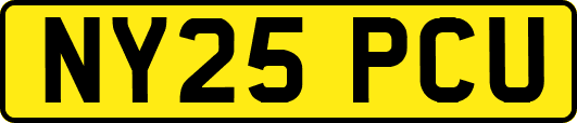 NY25PCU