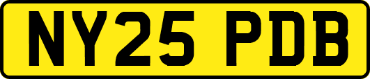 NY25PDB