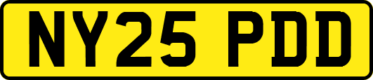 NY25PDD