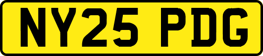 NY25PDG