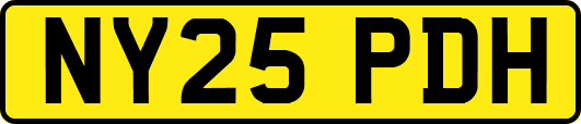 NY25PDH