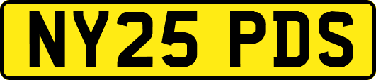 NY25PDS