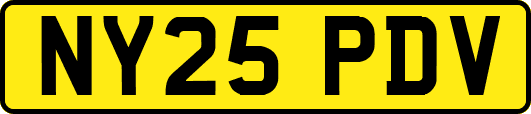 NY25PDV