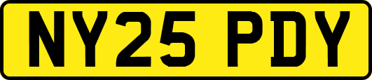 NY25PDY
