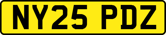 NY25PDZ