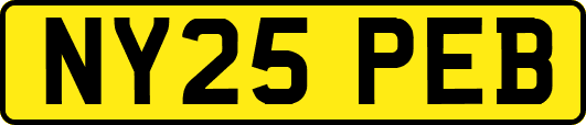 NY25PEB