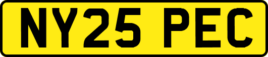 NY25PEC