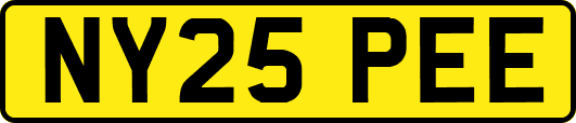 NY25PEE