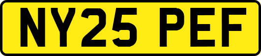 NY25PEF
