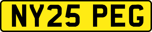NY25PEG
