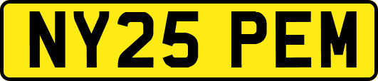 NY25PEM