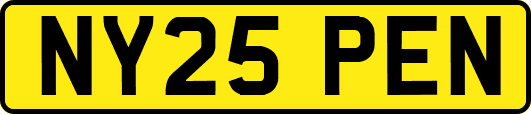 NY25PEN