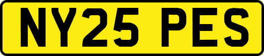 NY25PES