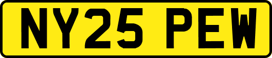 NY25PEW