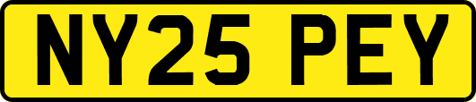 NY25PEY