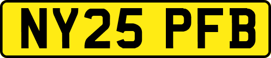 NY25PFB
