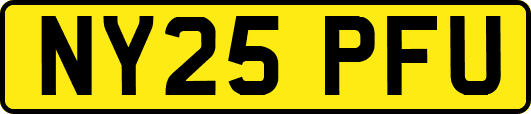 NY25PFU