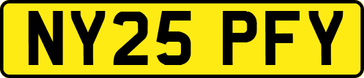 NY25PFY