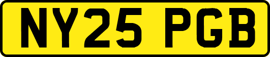 NY25PGB