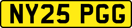 NY25PGG