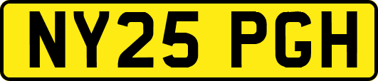 NY25PGH