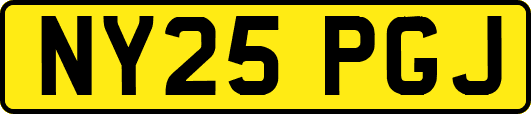 NY25PGJ