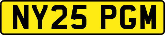 NY25PGM