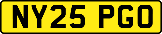 NY25PGO
