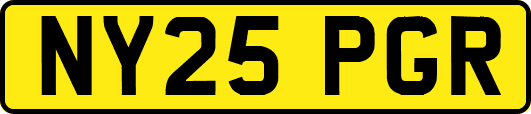 NY25PGR