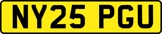 NY25PGU