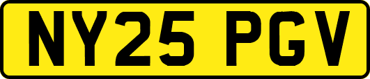 NY25PGV