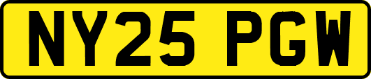 NY25PGW