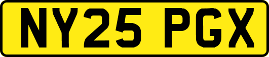 NY25PGX