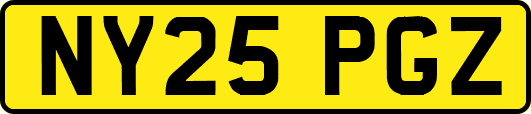 NY25PGZ