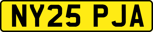 NY25PJA