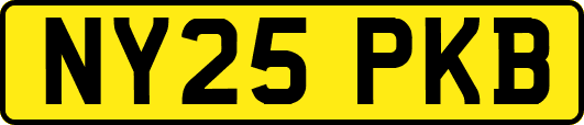 NY25PKB
