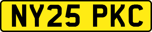 NY25PKC