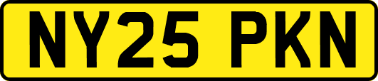 NY25PKN