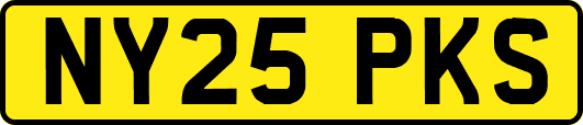 NY25PKS