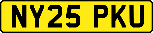 NY25PKU