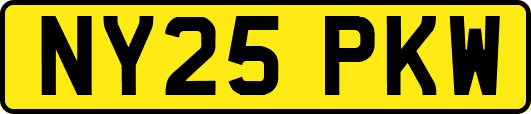 NY25PKW