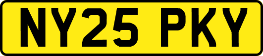 NY25PKY