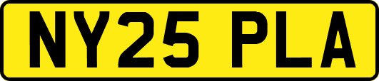 NY25PLA