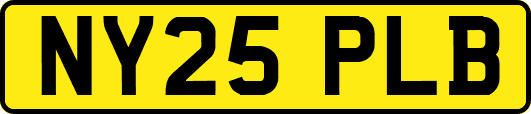 NY25PLB