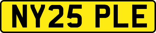 NY25PLE