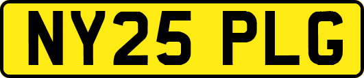 NY25PLG