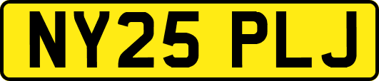 NY25PLJ