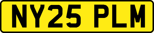 NY25PLM