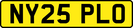 NY25PLO