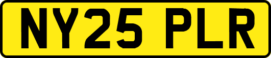 NY25PLR